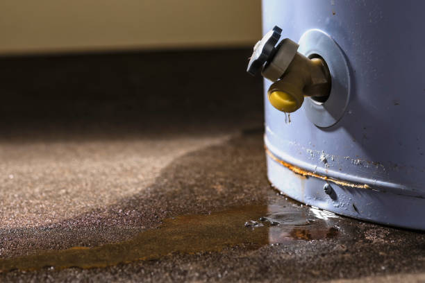 Best Professional water damage repair  in Tower City, PA
