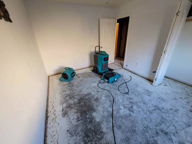 Best Sewage cleanup and water damage restoration  in Tower City, PA