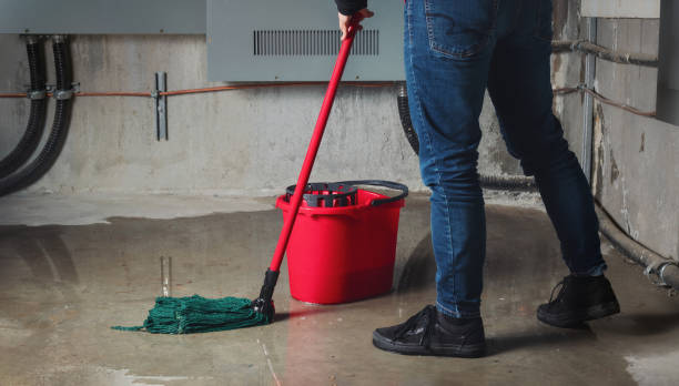 Best Water damage restoration insurance claims  in Tower City, PA