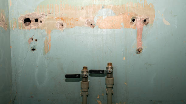 Best Ceiling water damage repair  in Tower City, PA