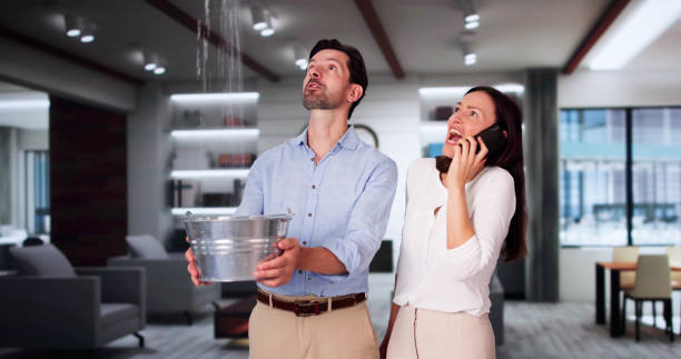 Best Local water damage restoration  in Tower City, PA